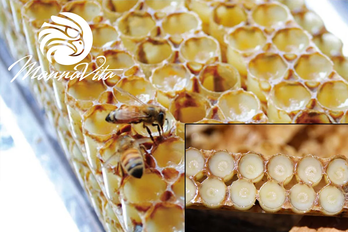 Hat dolog, amit nem tudtál a mézről